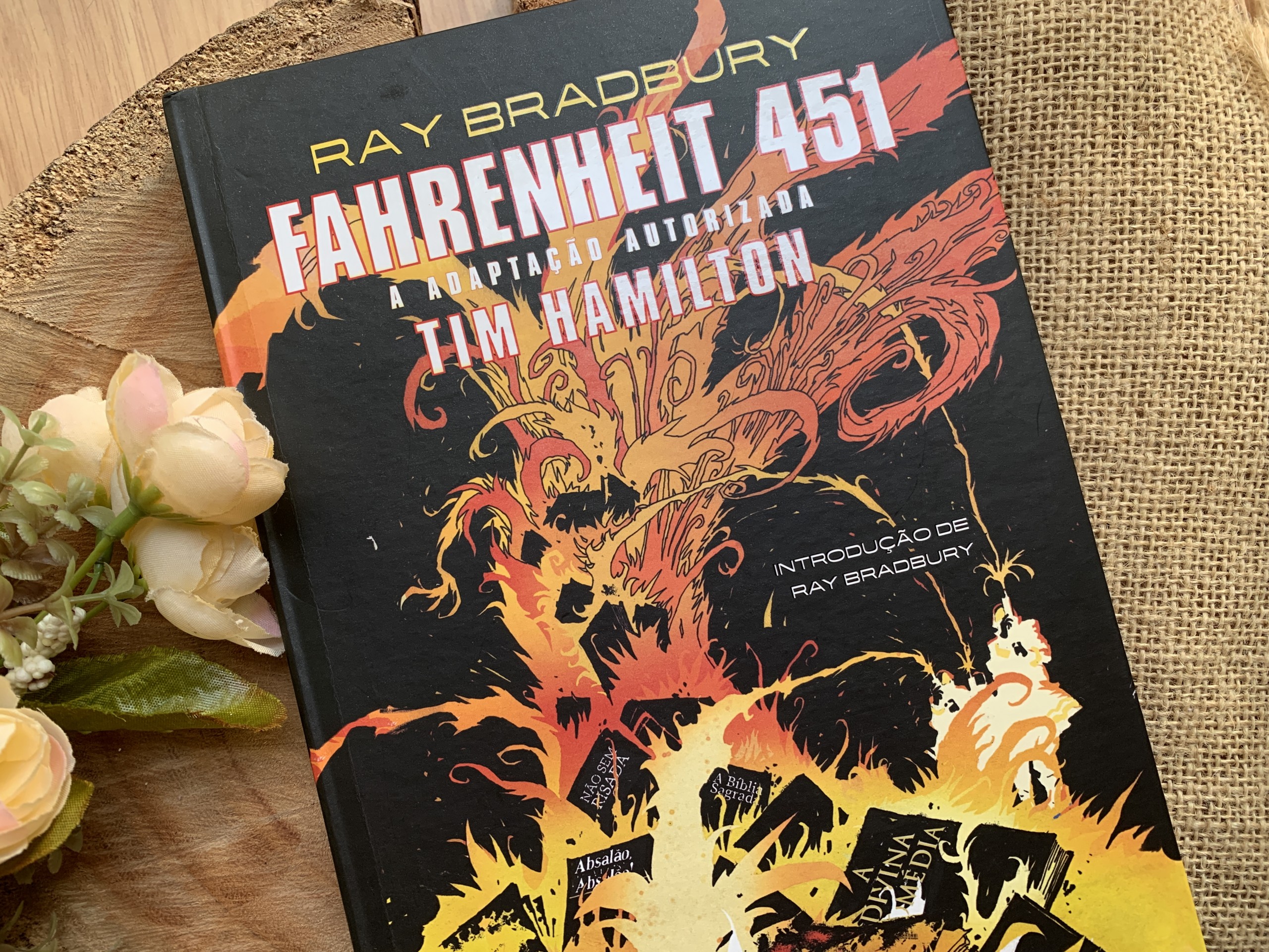 Fahrenheit 451 by Tim Hamilton